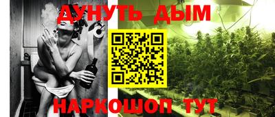 PSILOCYBIN Боровичи