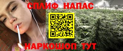 PSILOCYBIN Боровичи