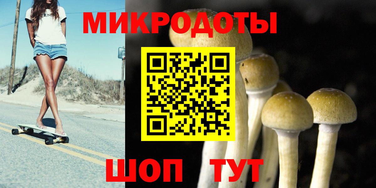 где можно купить   Вход с VPN  Вязники  Псилоцибиновые грибы Cubensis 